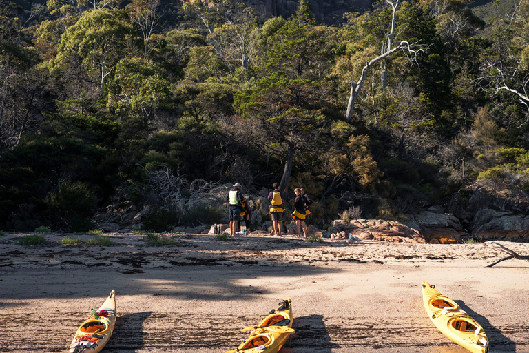 The Freycinet Paddle Kayak Tour