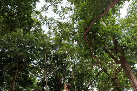 Phuket: Excursión a las Islas Similan en Catamarán Premium Speed