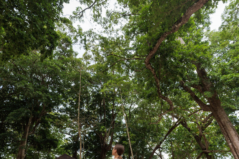 Phuket: Excursión a las Islas Similan en Catamarán Premium Speed