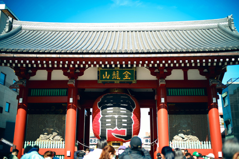 Tokyo: 4-Hour TeamLab Planets & Asakusa Express Tour