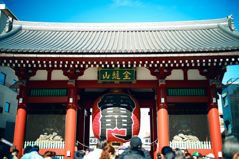 Tokyo: 4-Hour TeamLab Planets & Asakusa Express Tour