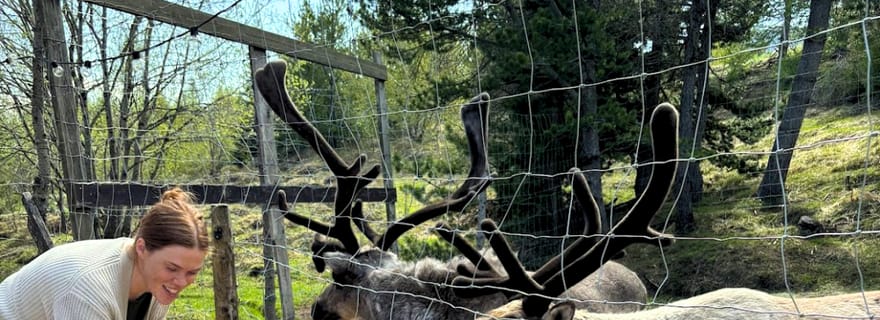 Depuis le port de Seyðisfjörður : canyon de Stuðlagil et parc aux rennes