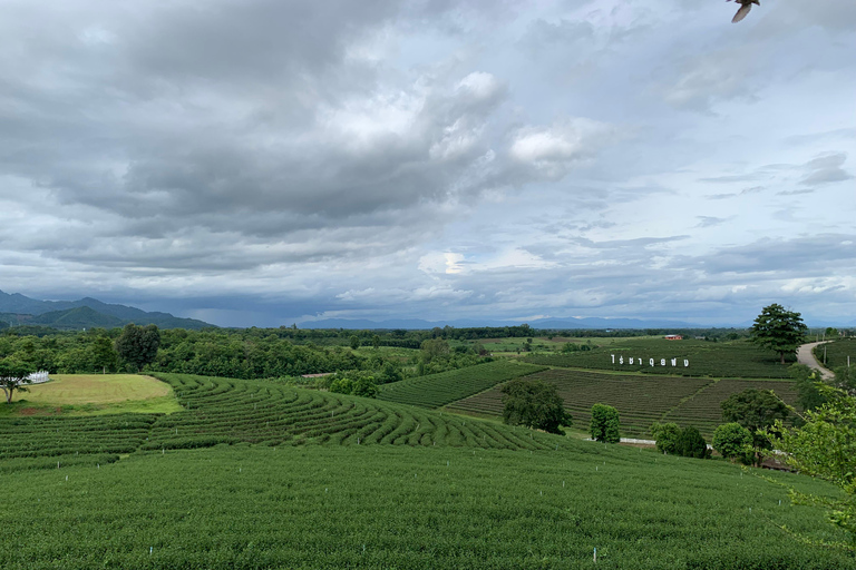 Chiang Rai Discovery:7 Attractions, Tickets & Lunch Included Chiang Rai Discovery: Full-Day Tour with Lunch & Entry Fees