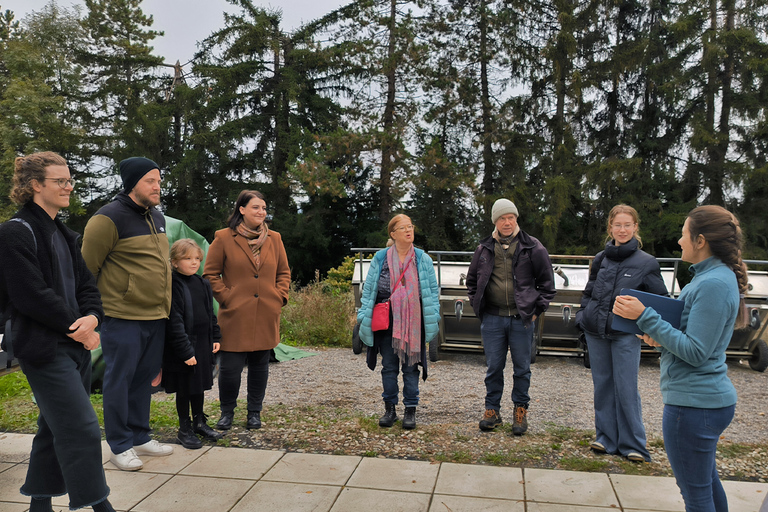 Zurich: Guided mushroom expedition and insights into the world of organic mushroom cultivation