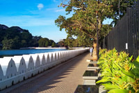 Kandy City Explore Like a Local By Tuk Tuk - Hizvo