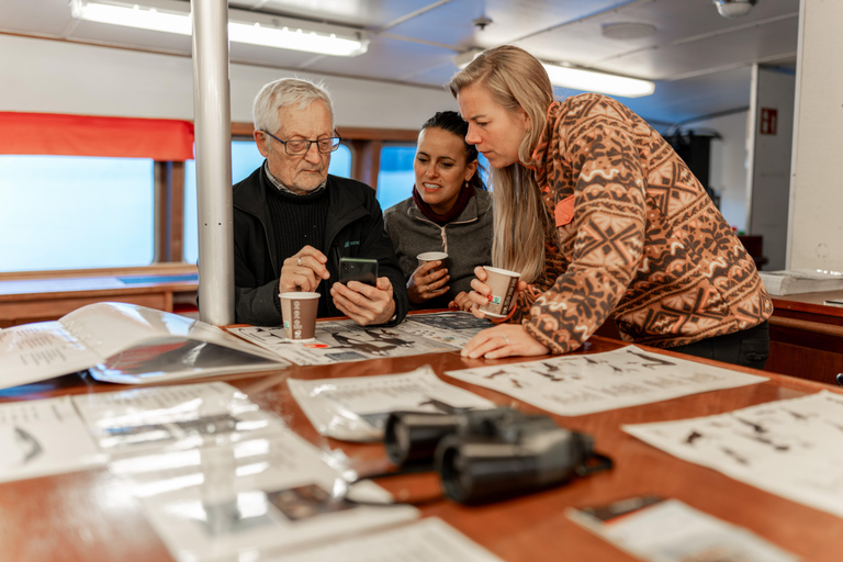 Tromsø: Responsible Whale Watching Cruise Aboard MS Alba