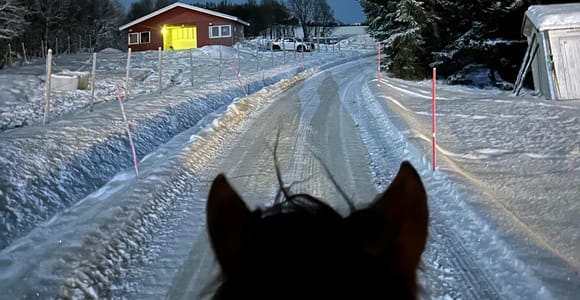 Tromsø: Evening Horseback Ride with Northern Lights Chance