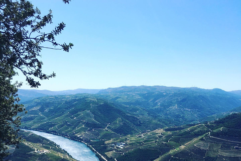 Porto to Douro Valley Private tour in a 4x4 like a native Privat tour Offroad Douro Valley