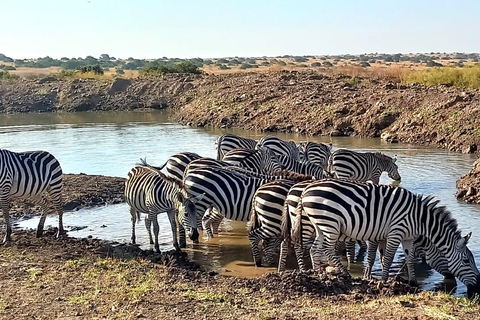 Excursión de un día a Maasai Mara con servicio de recogida en Nairobi