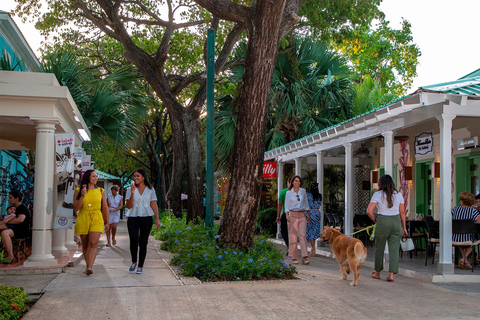 Punta Cana: Private Shopping Tour in a Luxury Cadillac