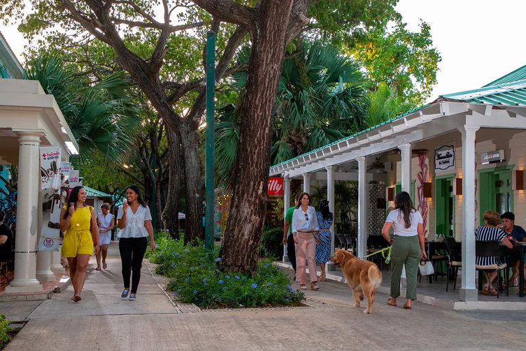 Punta Cana: Private Shopping Tour in a Luxury Cadillac