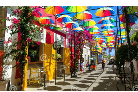 De essentie van Puerto Plata: historische en culturele stadstourPuerto Plata 360: Bezoek het barnsteenmuseum, het centrum van de stad.