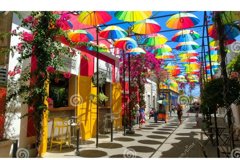 De essentie van Puerto Plata: historische en culturele stadstourPuerto Plata 360: Bezoek het barnsteenmuseum, het centrum van de stad.