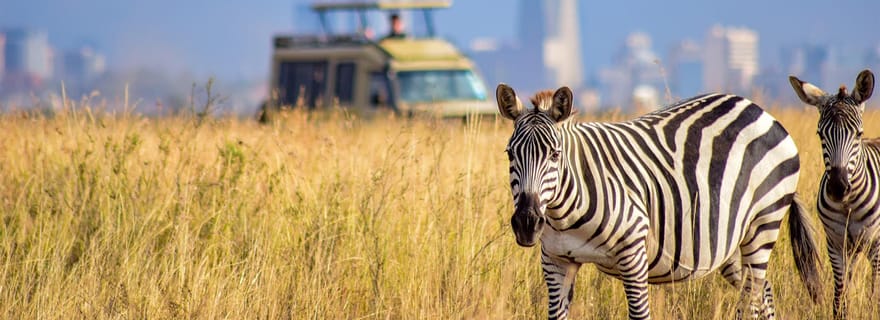 Parc national de Nairobi, orphelinat, girafe et perles