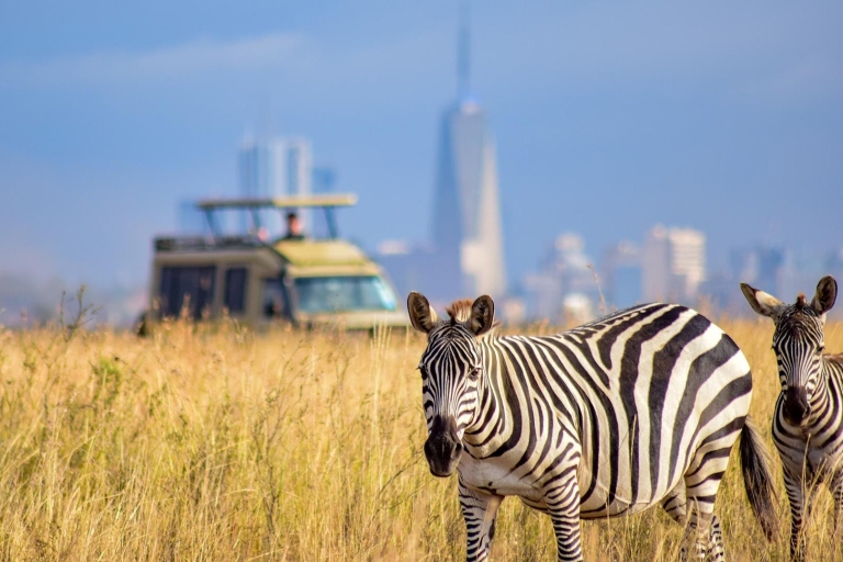 Park Narodowy Nairobi, Centrum Żyraf, sierociniec i wycieczka Bomas