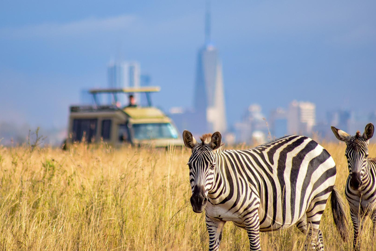 Park Narodowy Nairobi, Centrum Żyraf, sierociniec i wycieczka Bomas