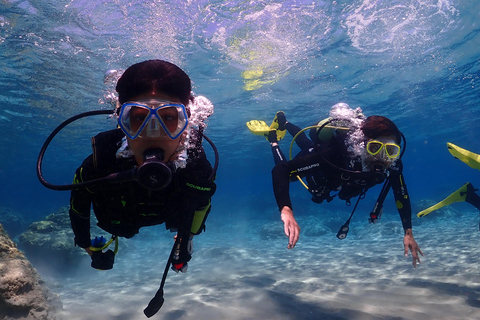 Rhodes Charaki: Try Dive for Beginners - 1 hour Rhodes: Try Dive for Beginners - 1 hour Charaki house reef