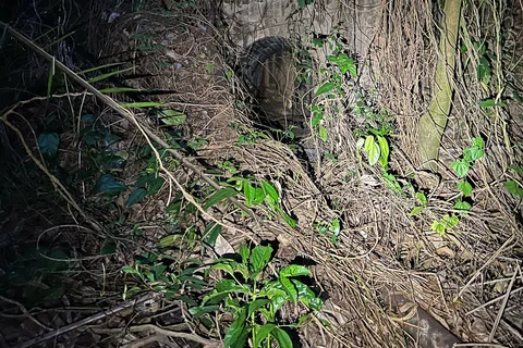 Randonnée vers le bunker de Seah Im, le Mont Faber et Henderson