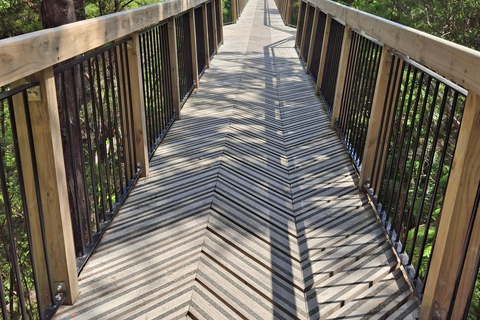 Auckland: Nature, Art, Seaside and Sugar Tour