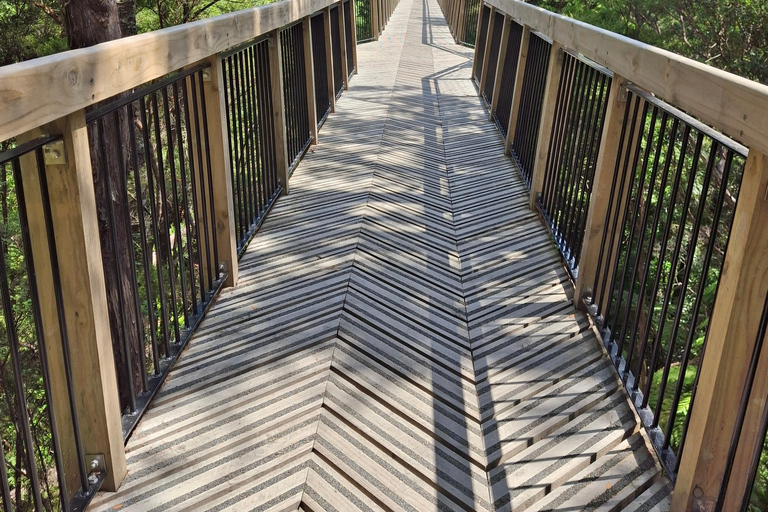 Auckland: Nature, Art, Seaside and Sugar Tour