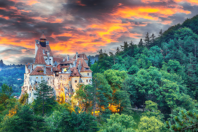 Movie Castle tour from Bucharest: Peles, Bran & Cantacuzino