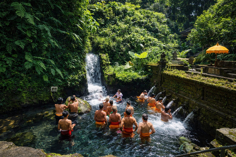 Ubud Spiritual: Purification, Palm Reading & Hot Springs