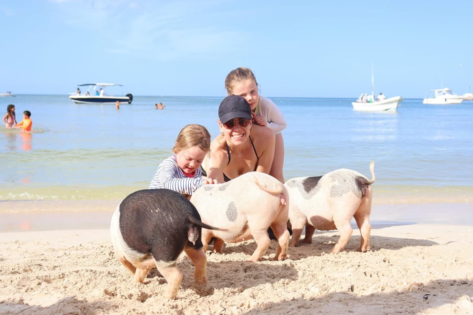 progreso isla columpio and pig beach club day pass GetYourGuide