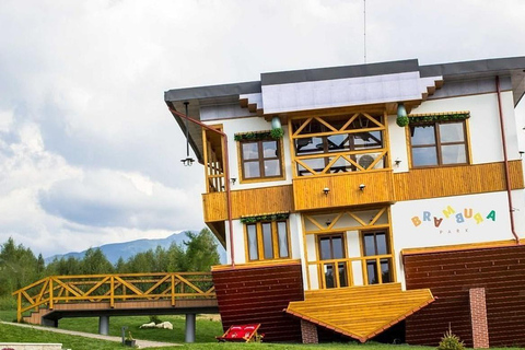 Sibiu Day Trip with Clay Castle & Upside-Down House