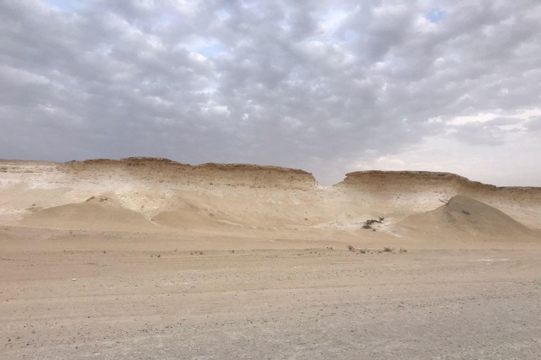 Excursión de un día a Doha: Excursión de un día al oeste de Qatar a Zekreet y la Ciudad del Cine