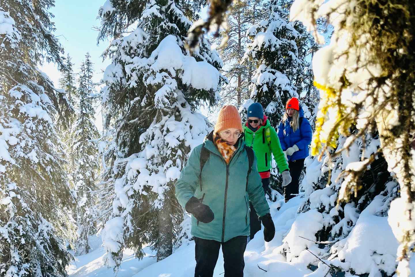 Sälen: Guided Gastronomy Walk with Local Delicacies