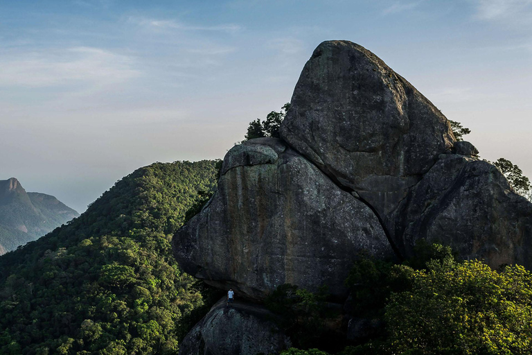 Rio de Janeiro: Zwiedzanie z przewodnikiem do Parku Narodowego Tijuca