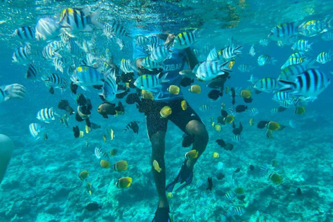 ZANZIBAR: Mnemba Island Snorkeling & Dolphin Tour with Lunch