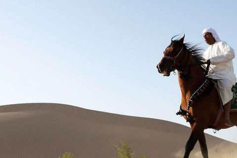 جولة الدوحة: جولة صحراوية بصحبة مرشد سياحي مع حصان عربي