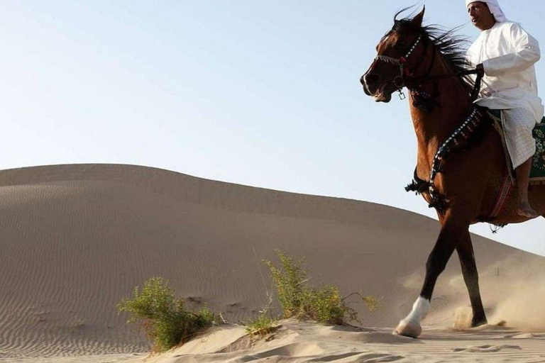جولة الدوحة: جولة صحراوية بصحبة مرشد سياحي مع حصان عربي
