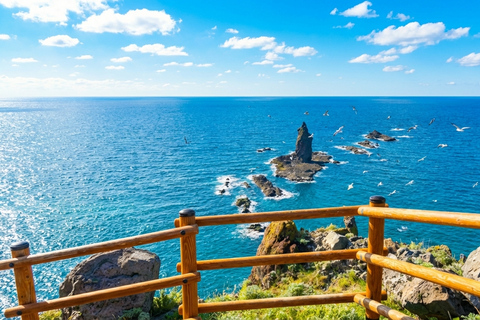 Hokkaido: Otaru's classic coastline one-day roam 8:10 am meet at JR Sapporo Station North exit