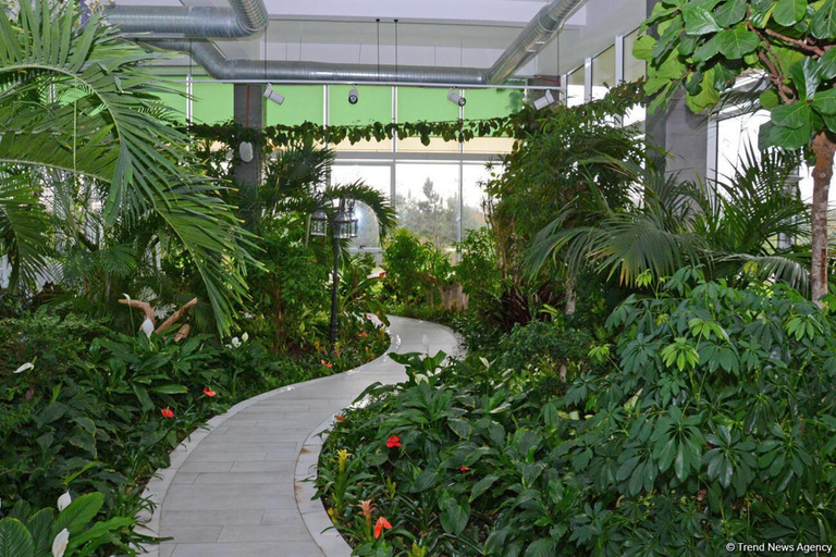 Absheron - Shahdili Tour