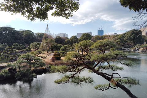 Tokio: Kiyosumi, Hama-Rikyu en Kyu-Yasuda Tuin Tour