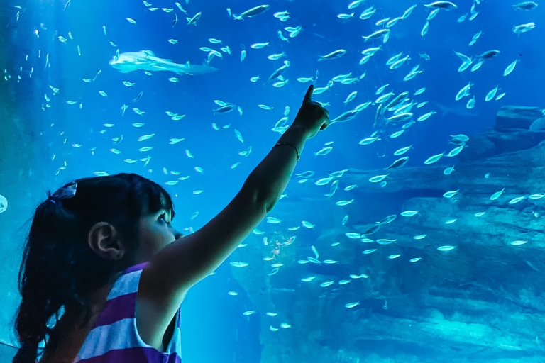 Billet un jour pour l’Aquarium de Paris