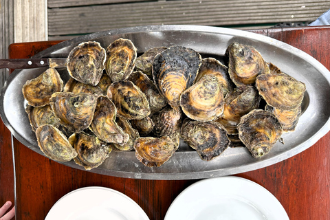 Oyster farm experience-private day trip from Dubrovnik