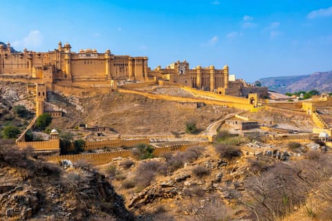 From Delhi: Jaipur Tour - Amber Fort & City Palace Ticket