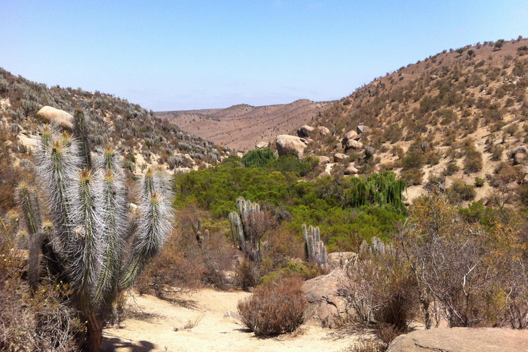 Chile: Das verzauberte Tal der atlantischen Schamanen Zeremonienstätte