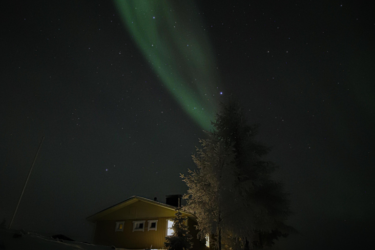 Levi: Aurora Hunting by Car