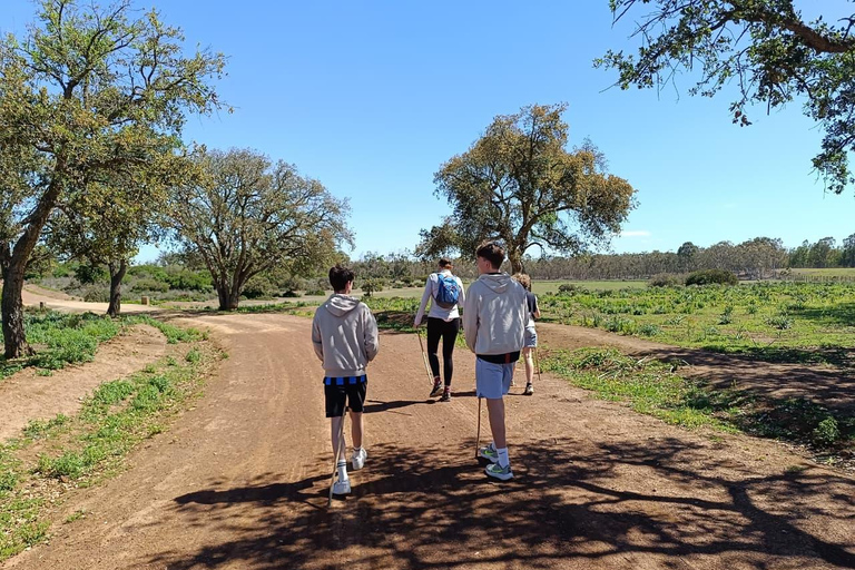 Hiking Ain Dakhla Benslimane: Mountains, Flavors & Folklore