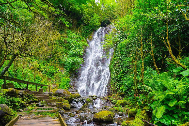 باتومي: مغامرة على الطرق الوعرة ليوم كامل في الغابة والشلالات