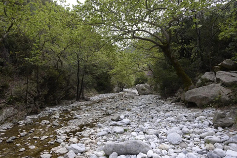 Kardamili: Caminhada na garganta de Ridomo