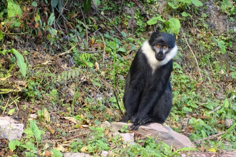 Kigali: 2-Day Nyungwe Rainforest Adventure with Zipline