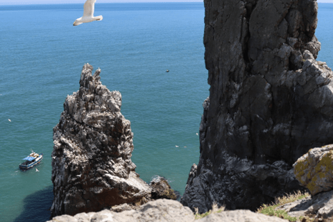 Dublin: Dublin Bay und Ireland&#039;s Eye Bootstour