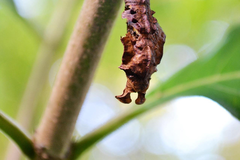 Sri Lanka: 6-Day Photography Tour with Hotel & Guide