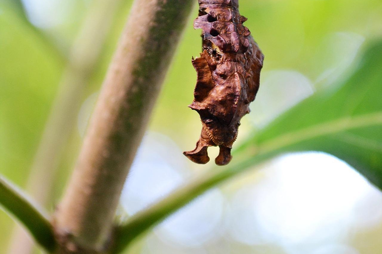 Sri Lanka: 6-Day Photography Tour with Hotel & Guide
