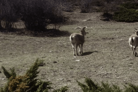 رحلة وادي تسوم: رحلة لمدة 16 يومًا إلى الوادي المقدس المخفي